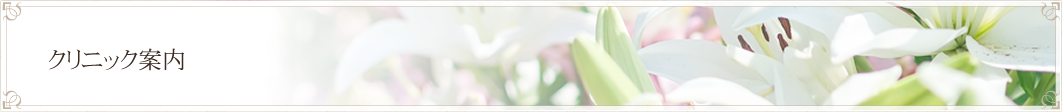 クリニック案内